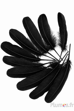 Gans - 15-21 cm - zwart